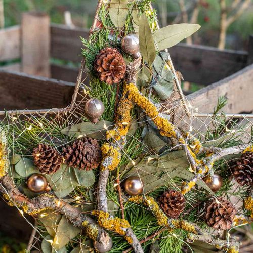 Eukalyptus Konserviert Zweige Blätter Rund Grün 150g