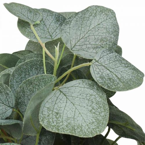 Floristik24 Eukalyptusbusch Künstlicher Eukalyptus Blätter Grün 45cm