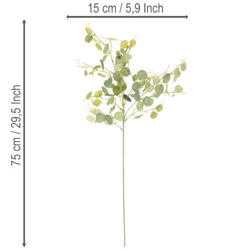Künstlicher Eukalyptuszweig mit runden Blättern 75 cm 4er-Set | Floristik24.at