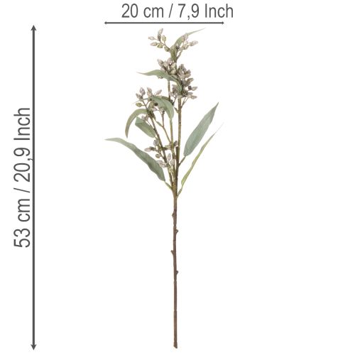 Künstlicher Eukalyptuszweig 53cm Grün 3er Set für Dekoration | Floristik24.at