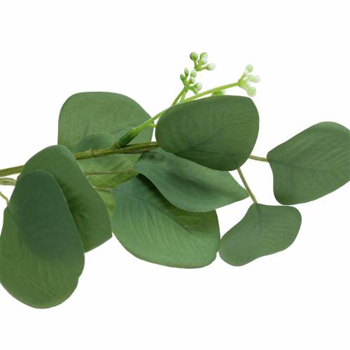Floristik24 Eukalyptuszweig 52cm