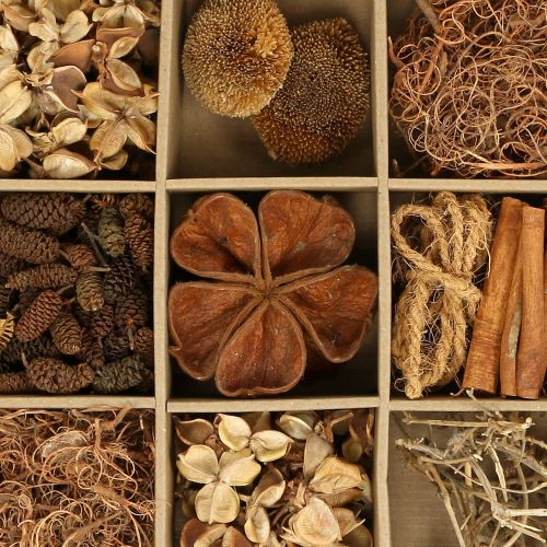 Exotenmix Natur