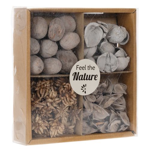 Potpourri Tischdeko mit Schalenfrüchten für natürliche Sommeratmosphäre | Floristik24.at