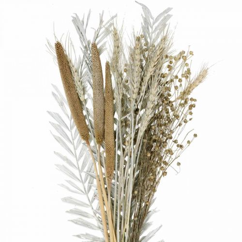 Trockenblumen DIY Box Exoten Trockenstrauß Weiß, Natur H55cm