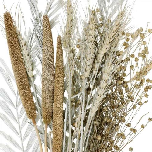 Trockenblumen DIY Box Exoten Trockenstrauß Weiß, Natur H55cm