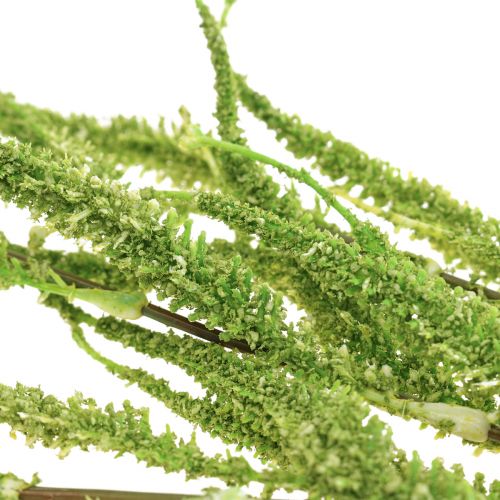 Floristik24 Amaranth Green Cascade Fuchsschwanz Kunstpflanze Grün 95cm