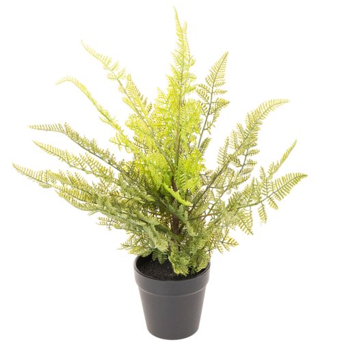Künstlicher Farn 40 cm im schwarzen Topf für Innenräume