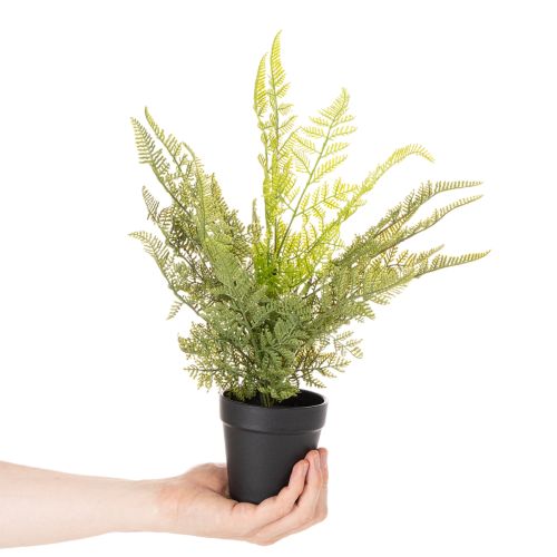Künstlicher Farn 40 cm im schwarzen Topf für Innenräume | Floristik24.at