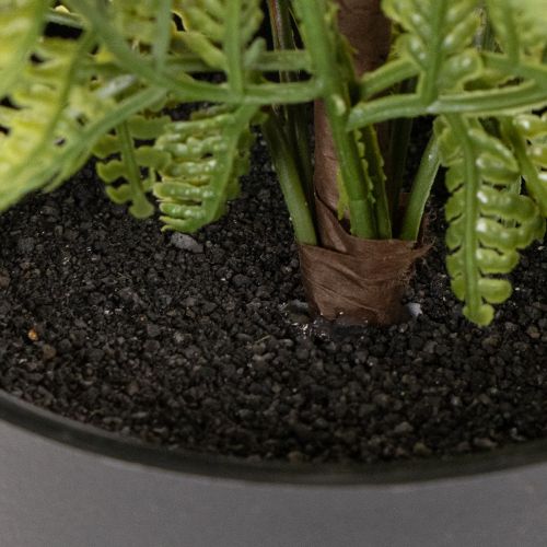 Künstlicher Farn 40 cm im schwarzen Topf für Innenräume | Floristik24.at
