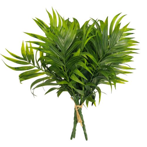 Floristik24 Palmwedel Palmen Deko Kunstpflanzen Grün 30cm 3St