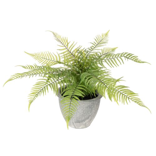 Künstlicher Farn im Pflanztopf Grün 35cm für Innenräume bestellen | Floristik24.at