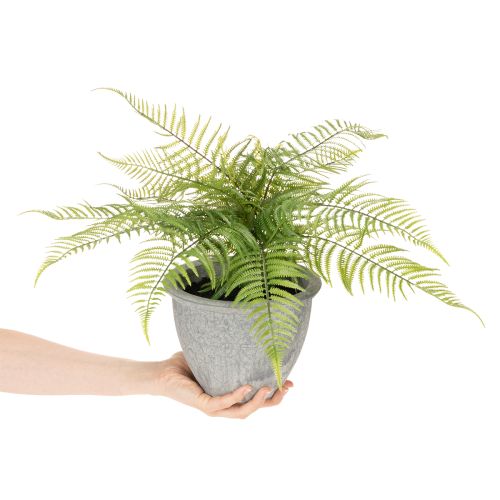 Künstlicher Farn im Pflanztopf Grün 35cm für Innenräume | Floristik24.at