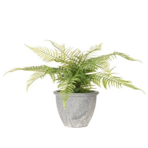 Künstlicher Farn im Pflanztopf Grün 35cm für Innenräume | Floristik24.at