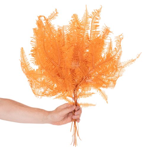 Konservierter Farnzweig 60 cm orange, Trockenblumen-Dekoration, 10 Stück | Floristik24.at