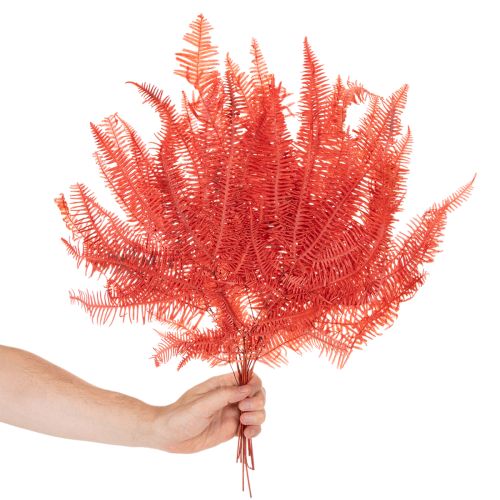 Konservierter Farn Rot 60 cm 10 Stück für Trockenblumen-Deko | Floristik24.at