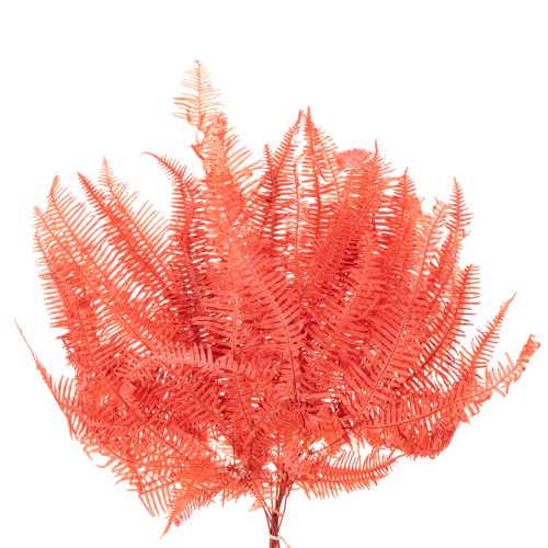 Konservierter Farn Rot 60 cm 10 Stück für Trockenblumen-Deko | Floristik24.at