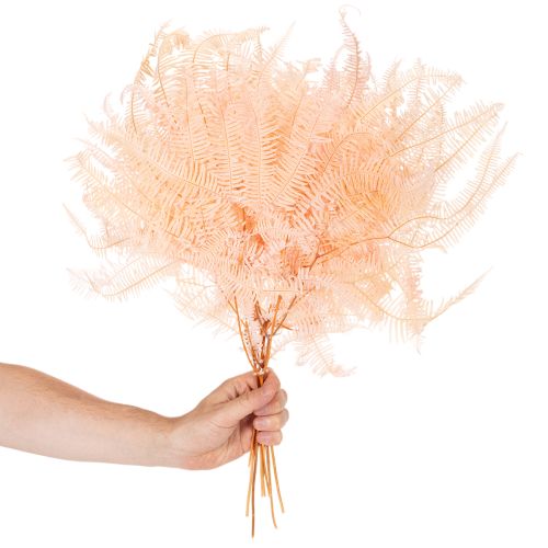 Getrocknete Farnwedel 60 cm Hellrosa 10 Stück für Dekoration | Floristik24.at