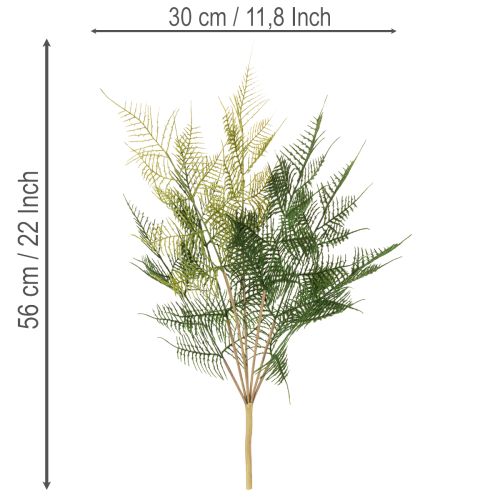 Künstlicher Farnzweig aus Kunststoff 56cm Grün für Dekoration | Floristik24.at