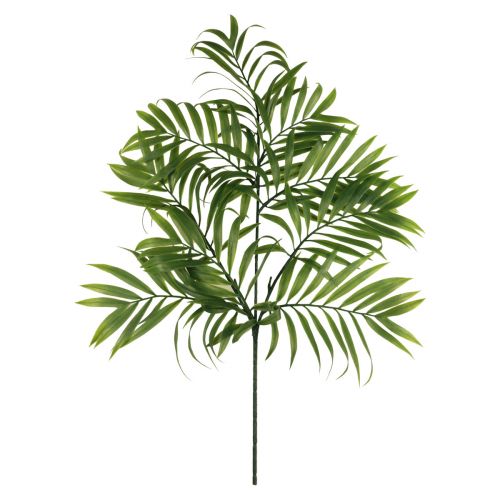 Floristik24 Künstliche Palmen Wedel Künstliche Grünpflanzen 56cm 3St