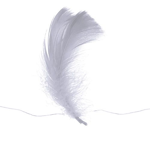 Floristik24 Feder am Draht Weiß 10m