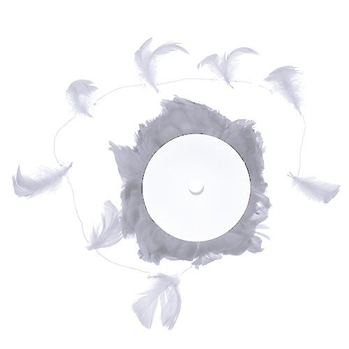 Floristik24 Feder am Draht Weiß 10m