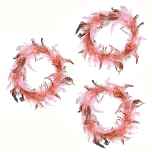 Artikel Federkranz aus Fasan Federn Deko in Pink Ø20cm 3 St