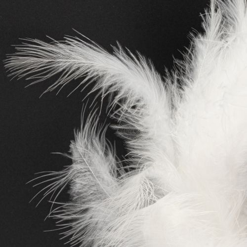 Artikel Federkranz Ideal für Hochzeit Dekoration und stimmungsvolle Osterdeko 20cm