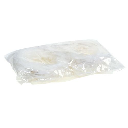 Floristik24 Federkranz Ø15cm Weiß 4St