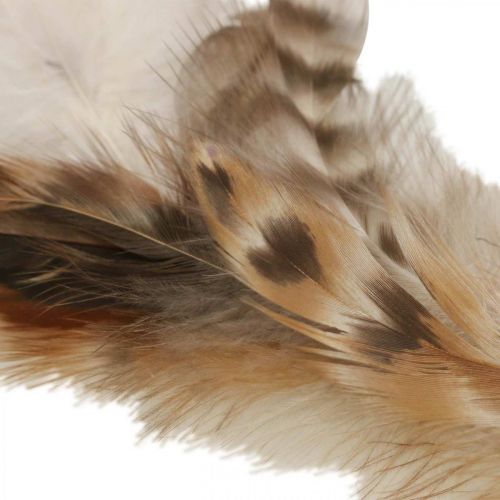 Artikel Federkranz Deko Federn Natur Osterdeko Ø15cm 4 St
