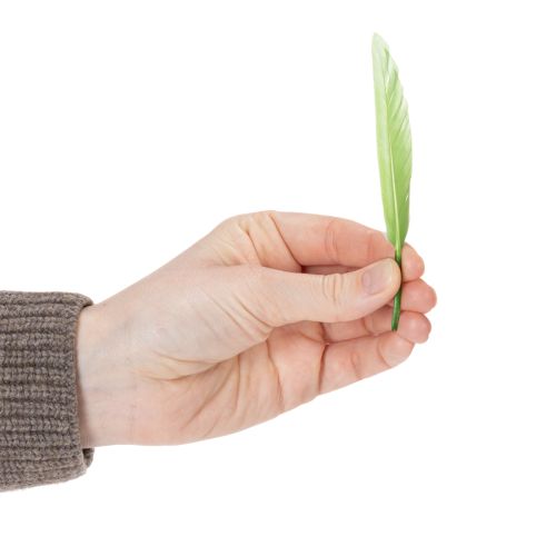 Artikel Dekorative Federn für stilvolles Ambiente und beeindruckende Dekorationen 10cm