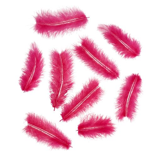 Floristik24 Federn kurz 30g Fuchsia