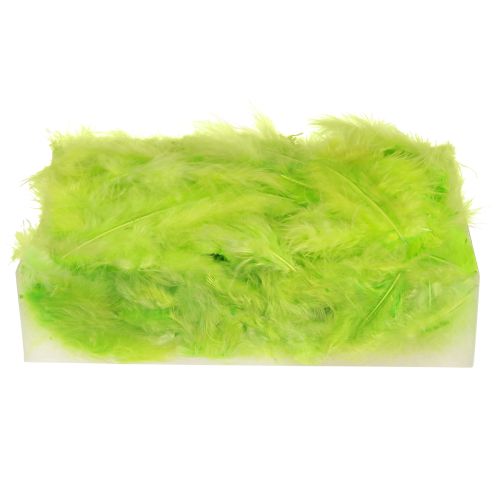 Artikel Federn zum Basteln in Hellgrün Feder Deko 5–10cm 20g