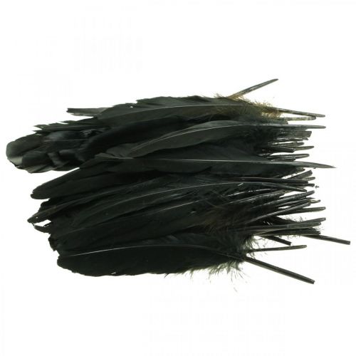 Artikel Deko Federn Schwarz Vogelfedern zum Basteln 14-17cm 20g