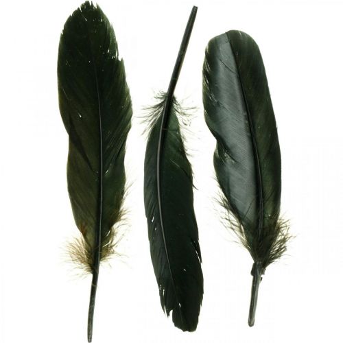 Floristik24 Deko Federn Schwarz Vogelfedern zum Basteln 14-17cm 20g