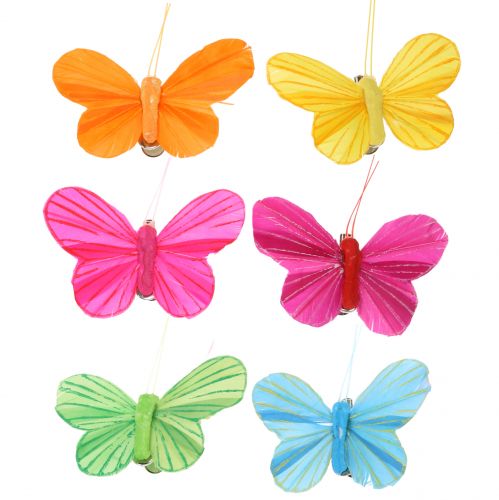 Floristik24 Federschmetterling am Clip bunt 6cm 12St