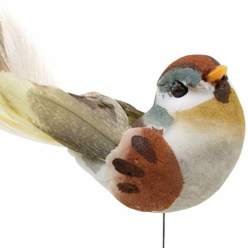 Vogel am Draht 5,5cm Bunt 9St