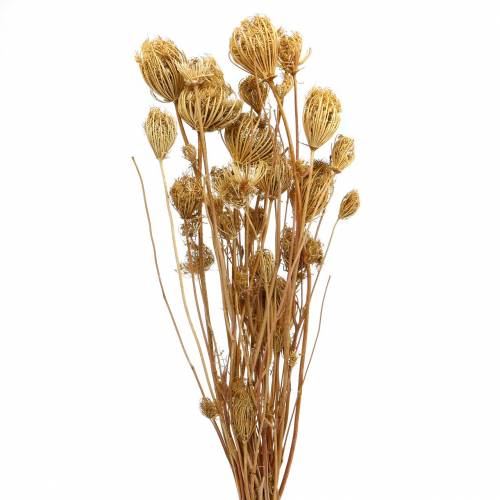 Artikel Trockenblumen Fenchel Natur 100g