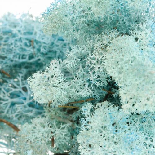 Islandmoos Aquamarin 100g konserviert für Modellbau preserved moss blau hellblau 