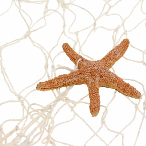 Floristik24 Fischernetz mit Meeresdeko Natur Polyresin 150×200cm als Wanddeko