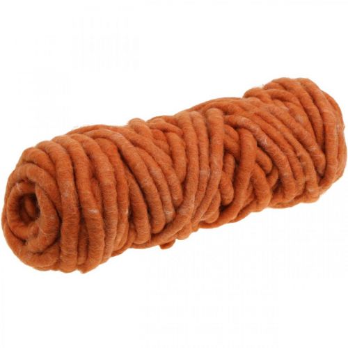 Floristik24 Filzkordel Wollkordel Filzschnur Schafwolle Jute Orange L30m