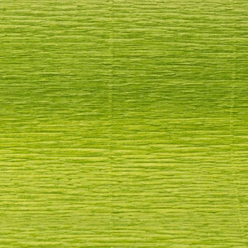 Artikel Floristen-Krepppapier Grasgrün 50x250cm