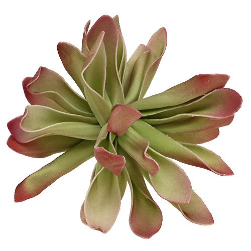 Floristik24 Foam-Blüte Ø12cm Grün/Rot 6St