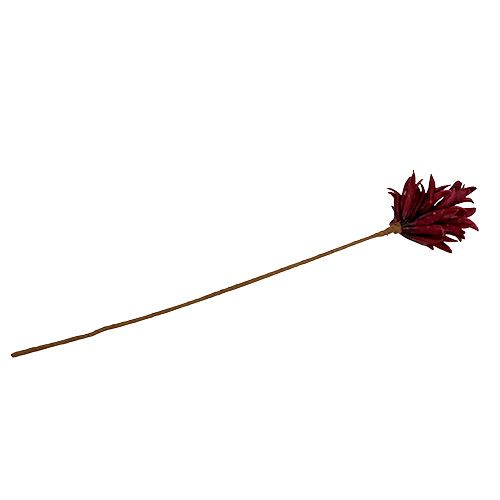 Floristik24 Foam Blüte Bordeaux 14cm L66cm