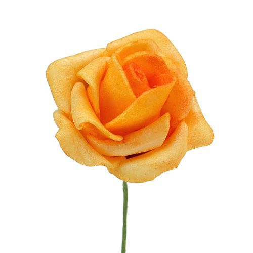 Floristik24 Foam Rose Ø 3,5cm Apricot 48St