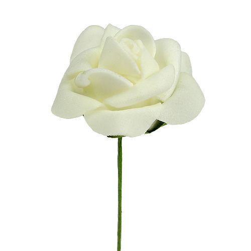 Foam Rose Ø3,5cm Creme 48 St | Floristik24.at