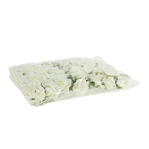 Foam Rose Ø3,5cm Creme 48 St | Floristik24.at