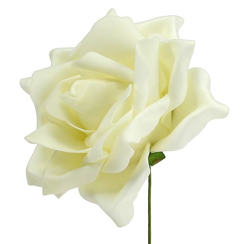 Floristik24 Foam Rosen Creme Ø15cm 4St