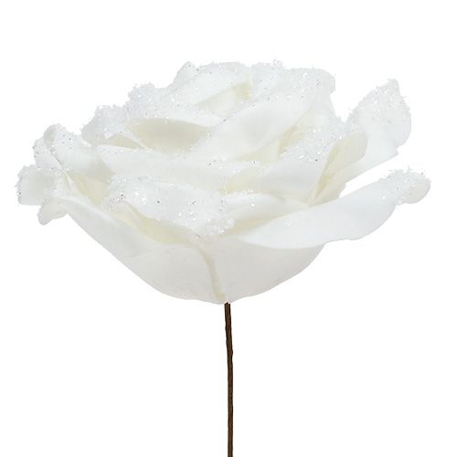 Floristik24 Foamrose Weiß Ø10cm beschneit 6St