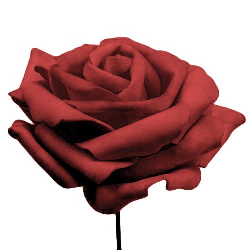 Artikel Foamrose Rot Ø10cm 8 St