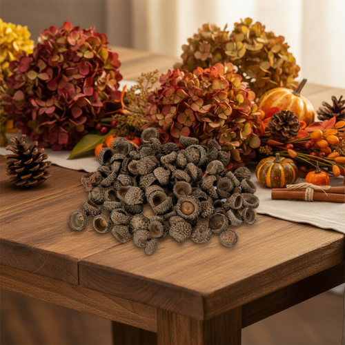 Eichelkappen natur 2cm braun 300g Dekoration Herbst Advent | Floristik24.at
